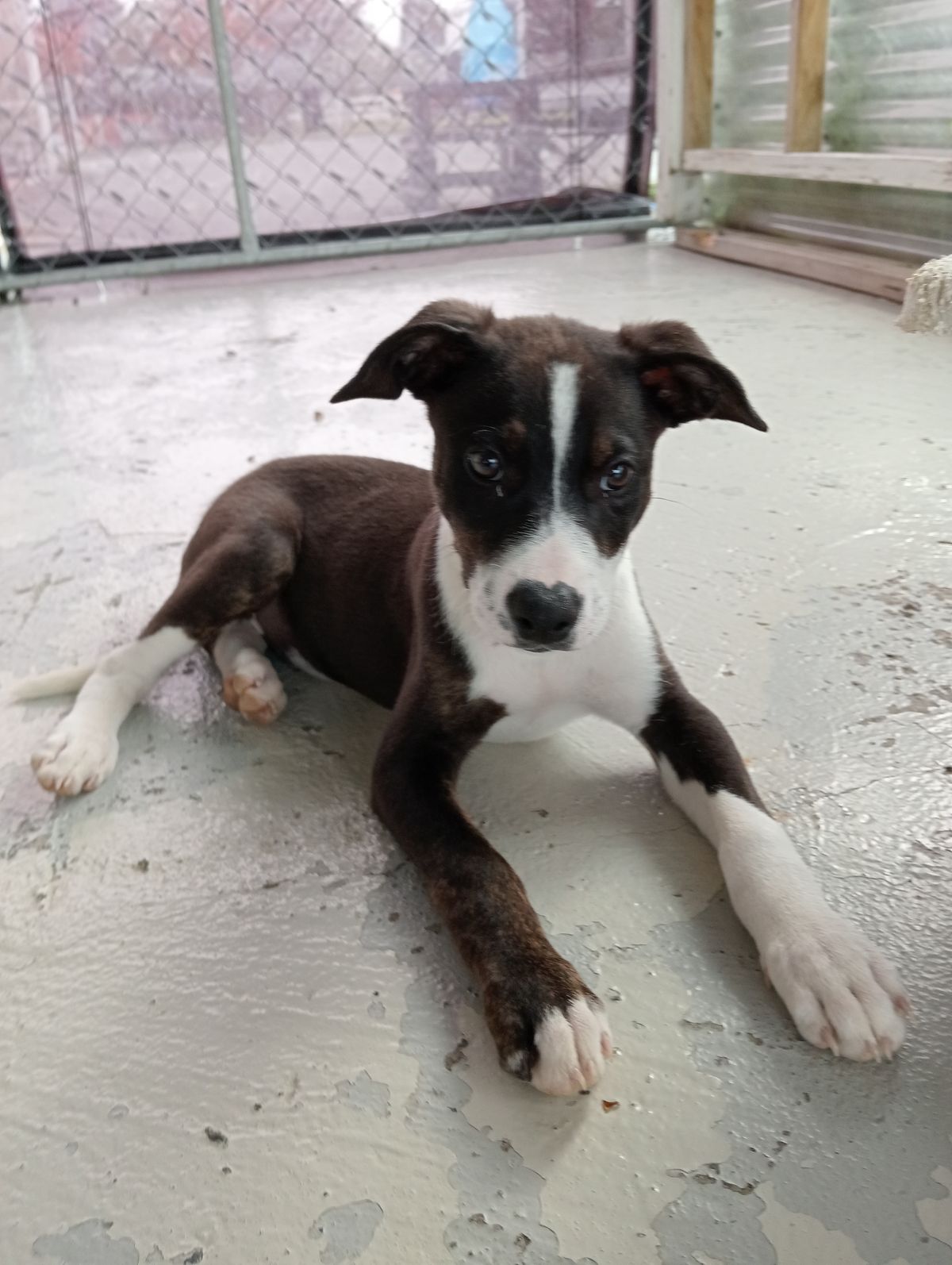 Gallery image: Flynn