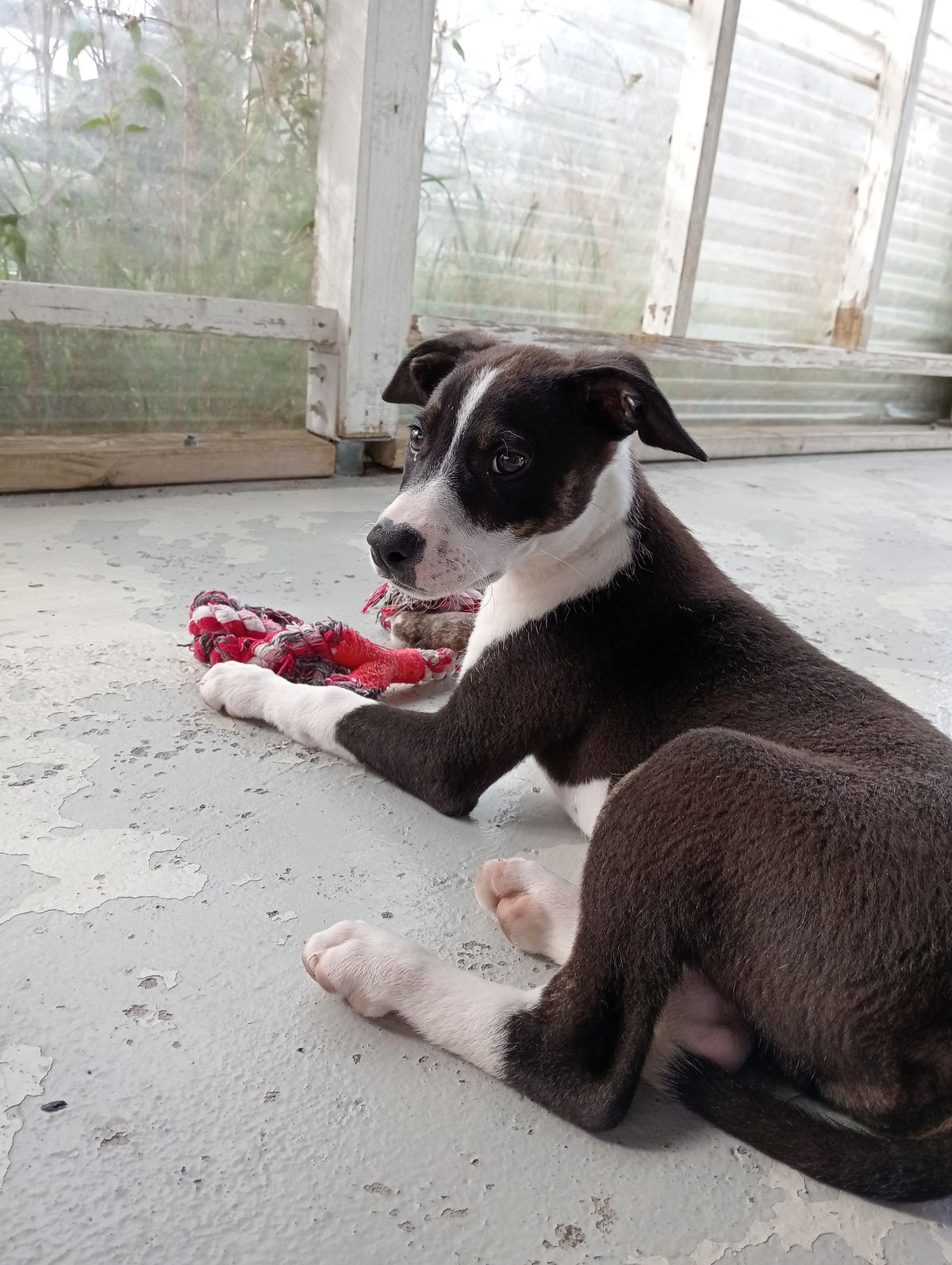 Gallery image: Flynn