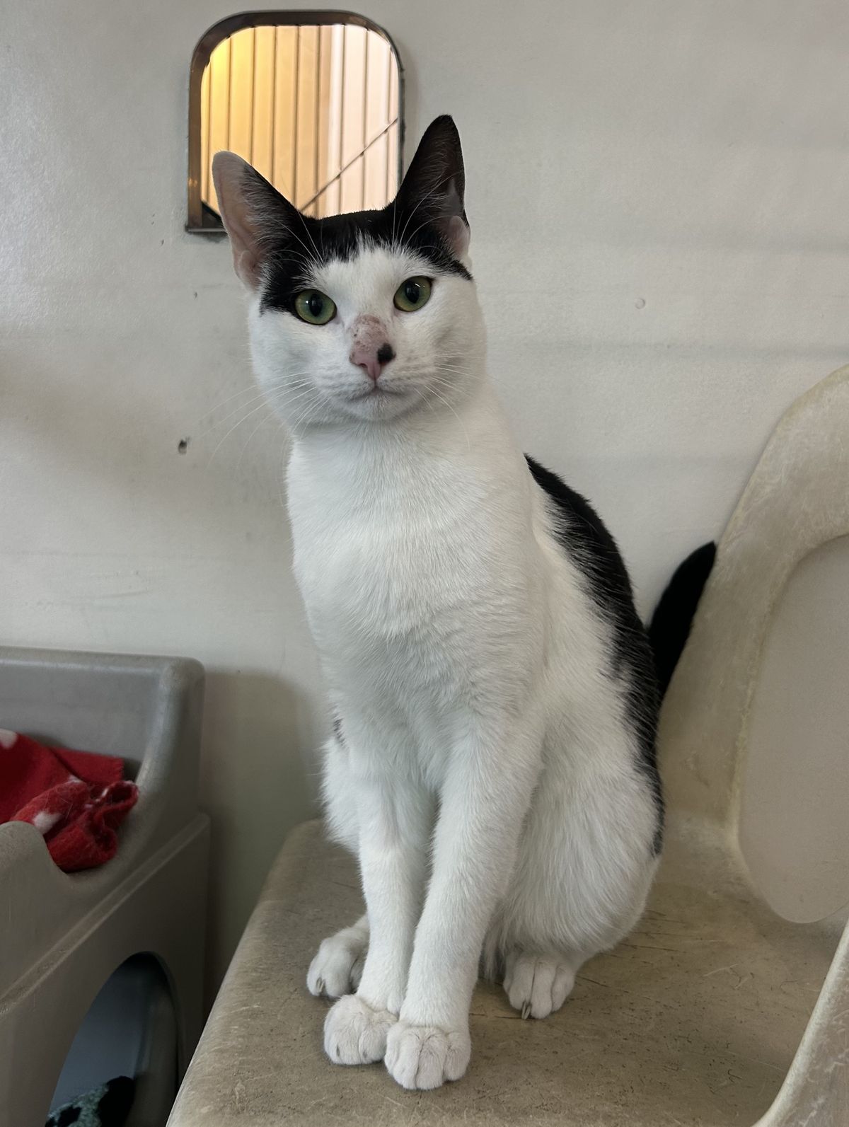 Gallery image: Frank