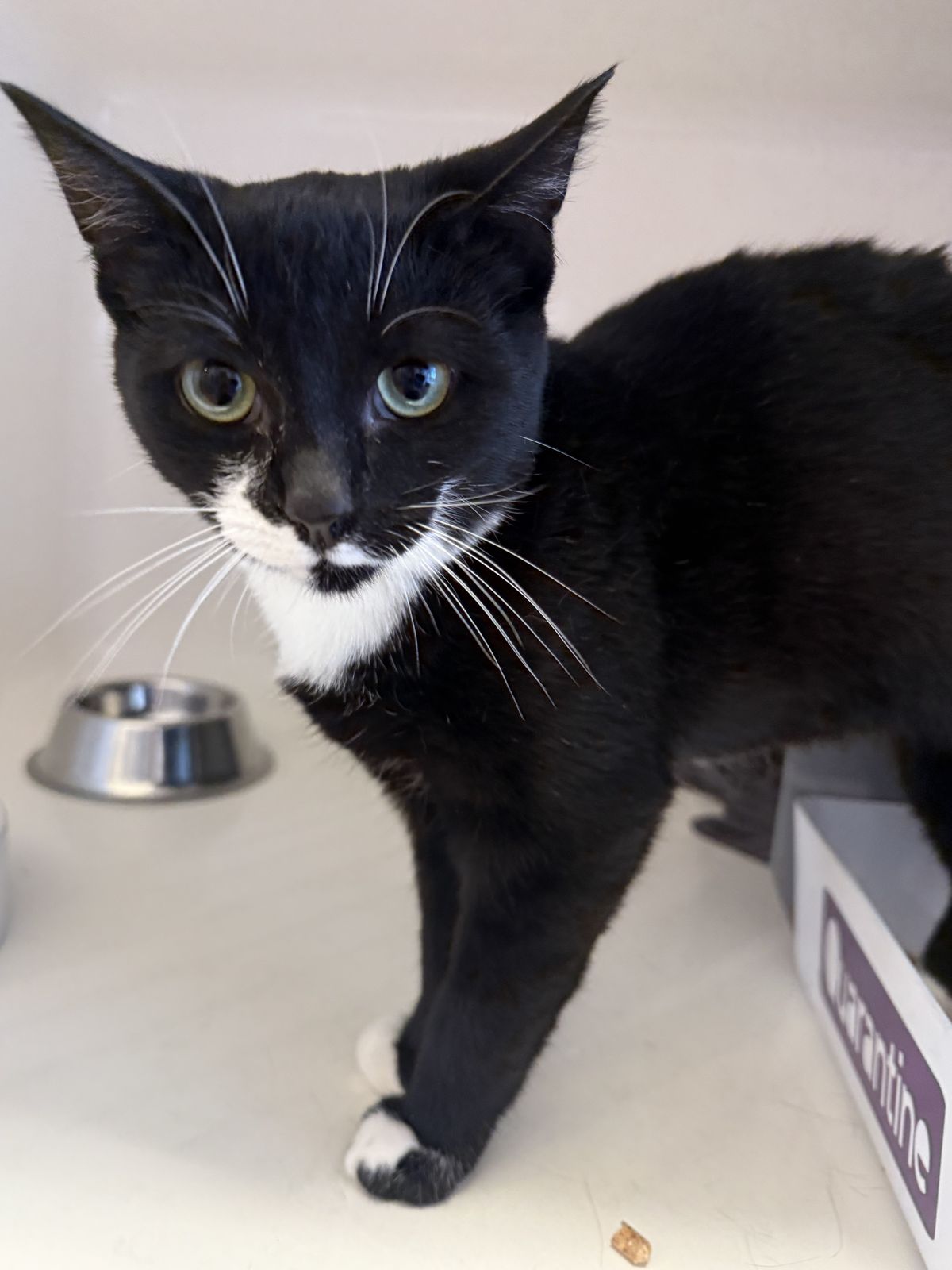 Gallery image: Jerry