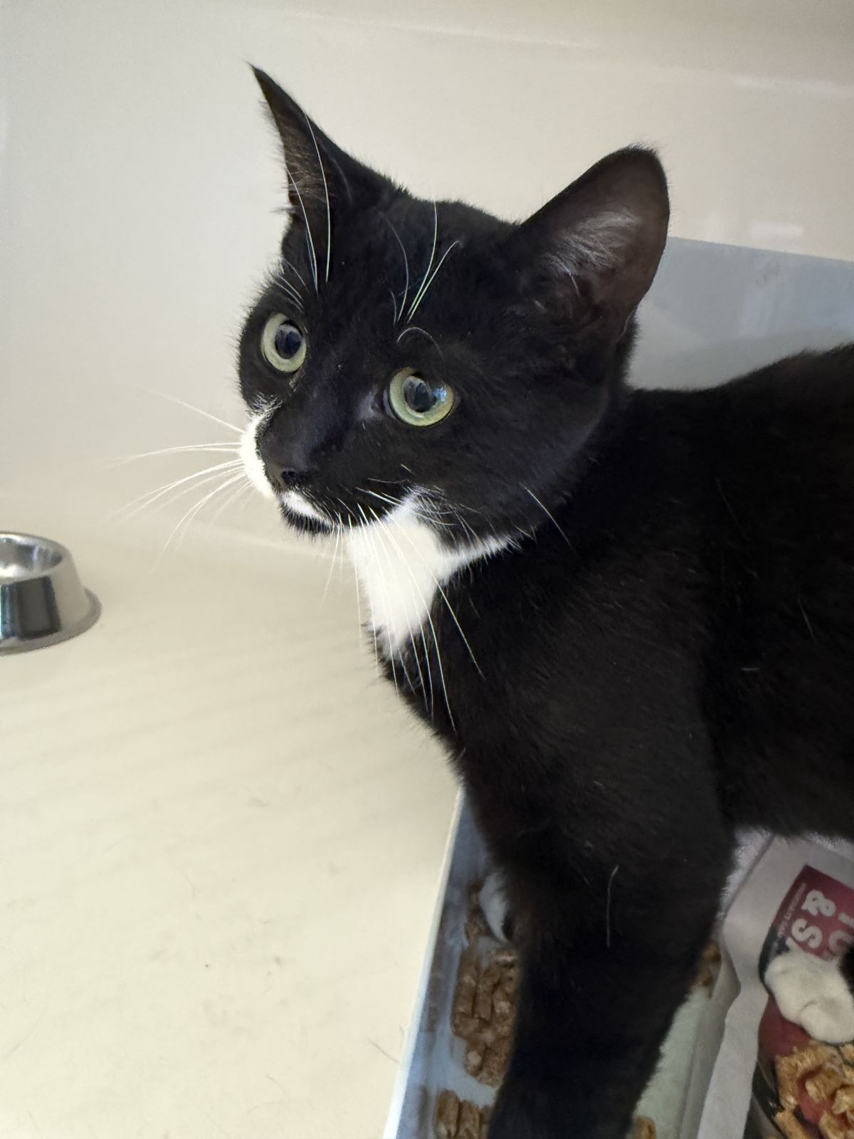 Gallery image: Jerry