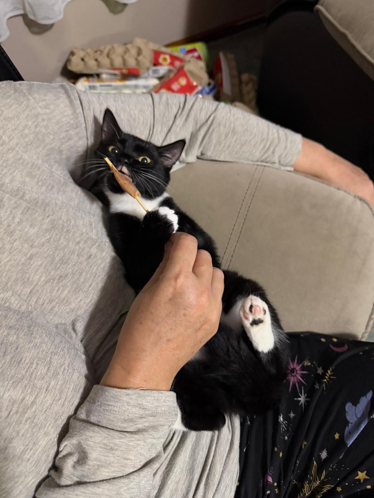 Gallery image: Ember