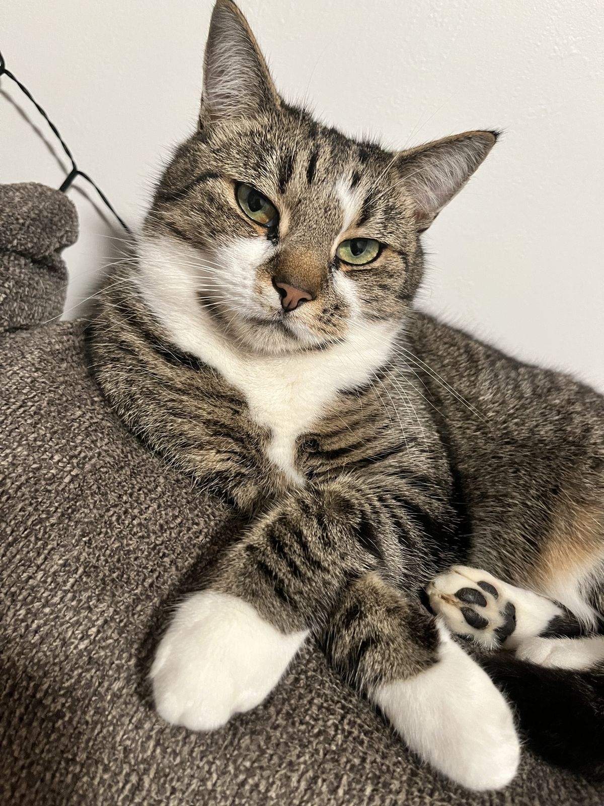 Gallery image: Virgil