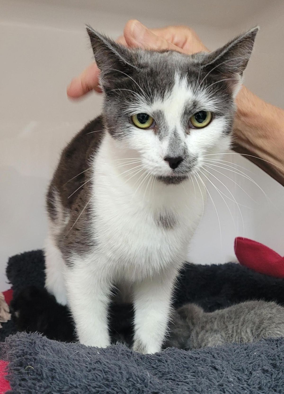 Gallery image: Esmeralda