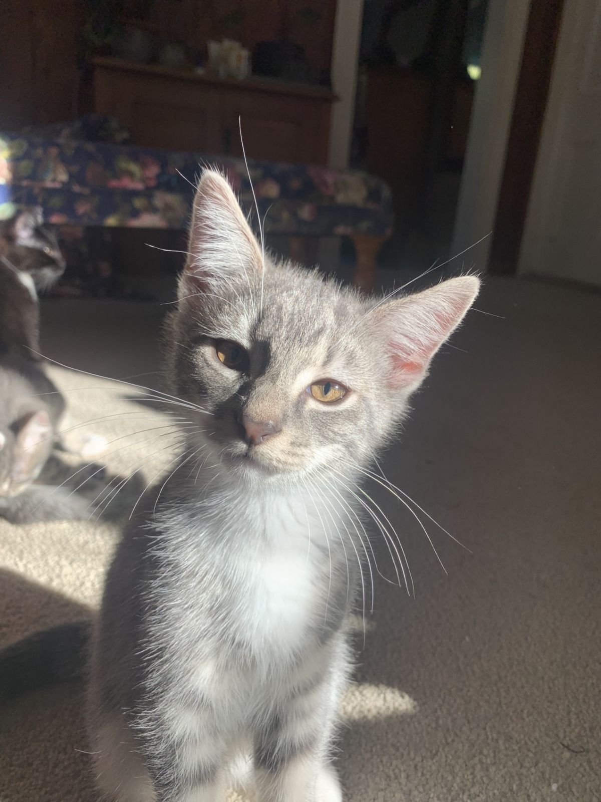 Gallery image: Patatas