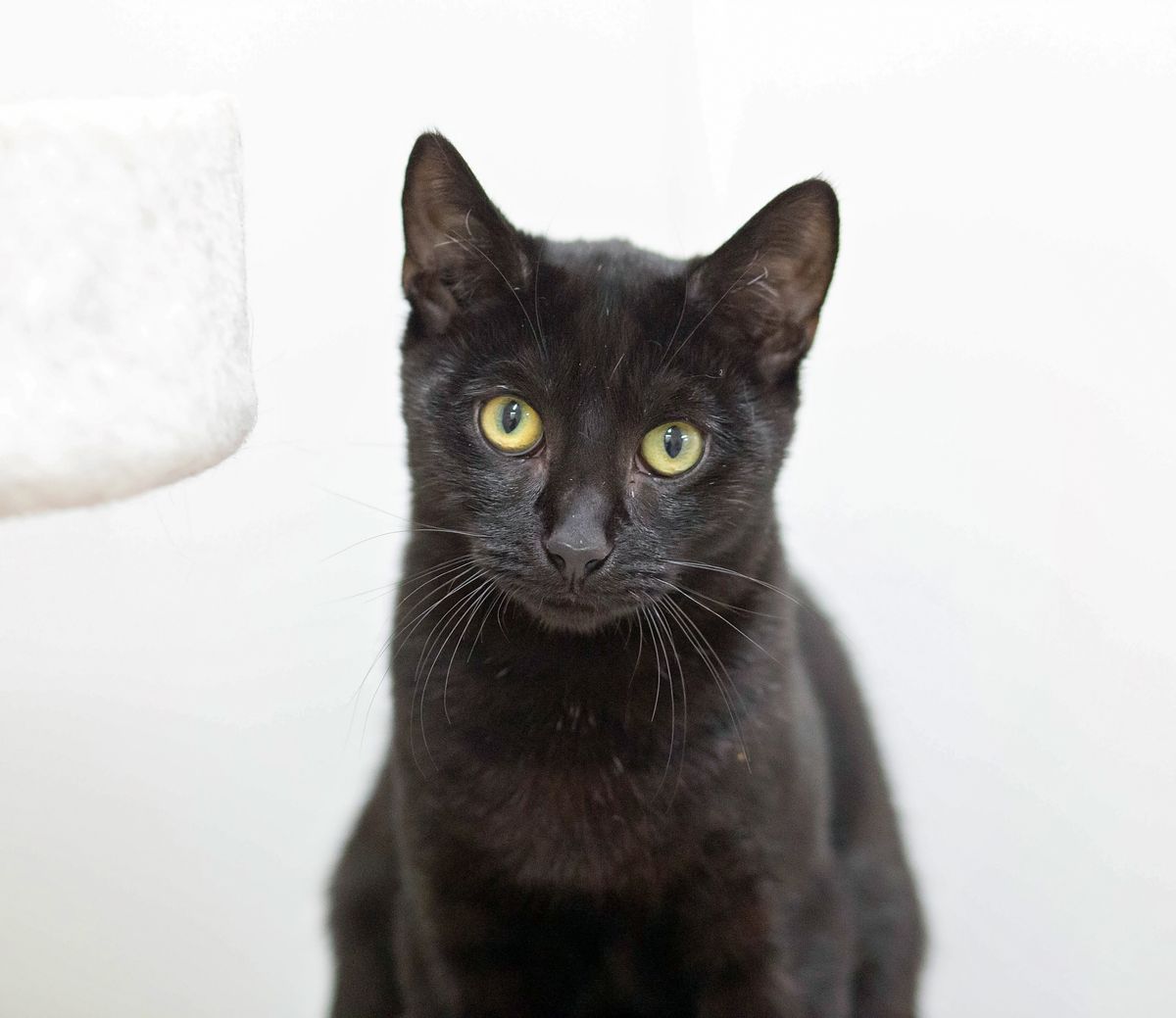 Gallery image: Tallie