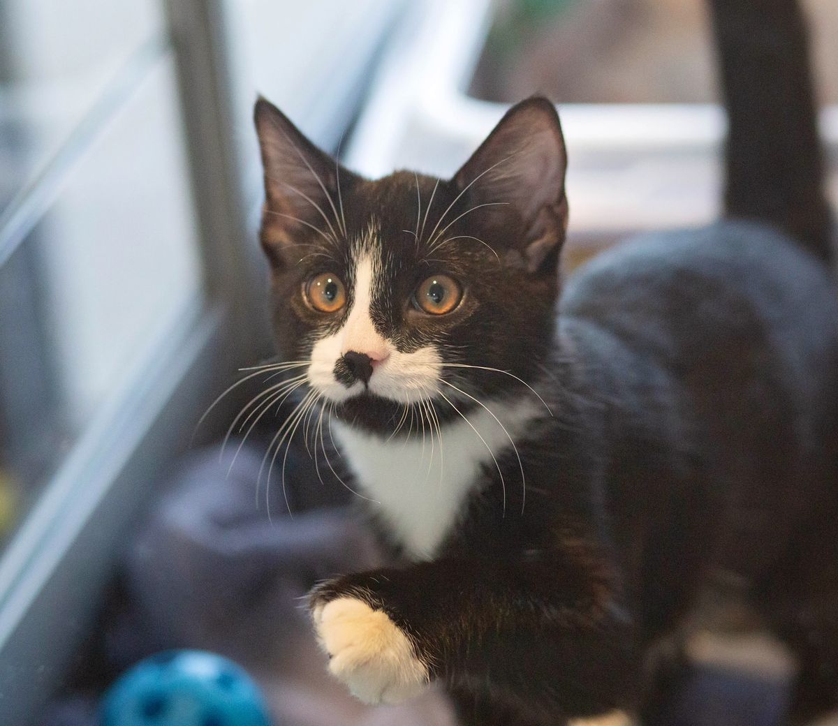 Gallery image: Darby