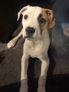 Gallery image: Crumpet