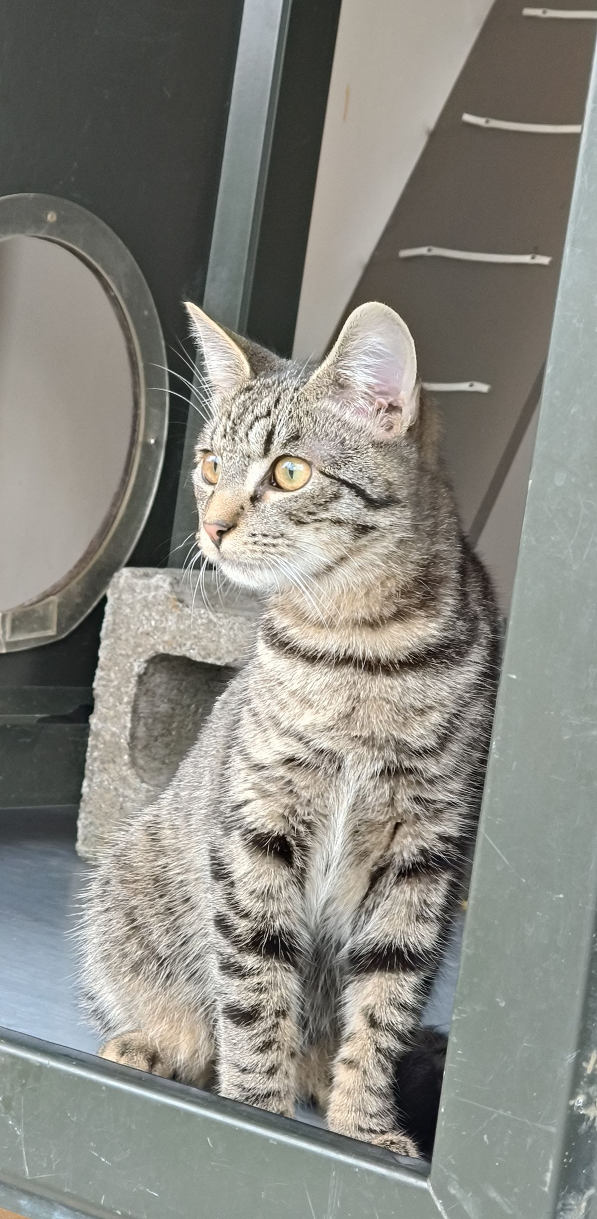 Gallery image: Webber