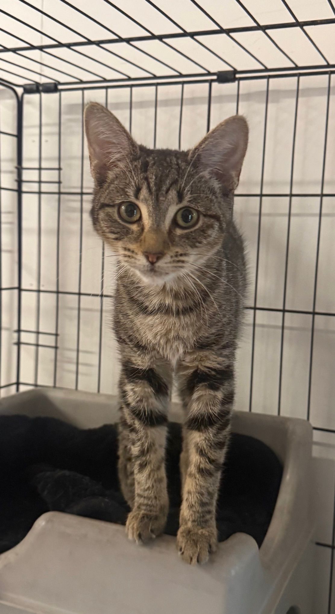 Gallery image: Glitch