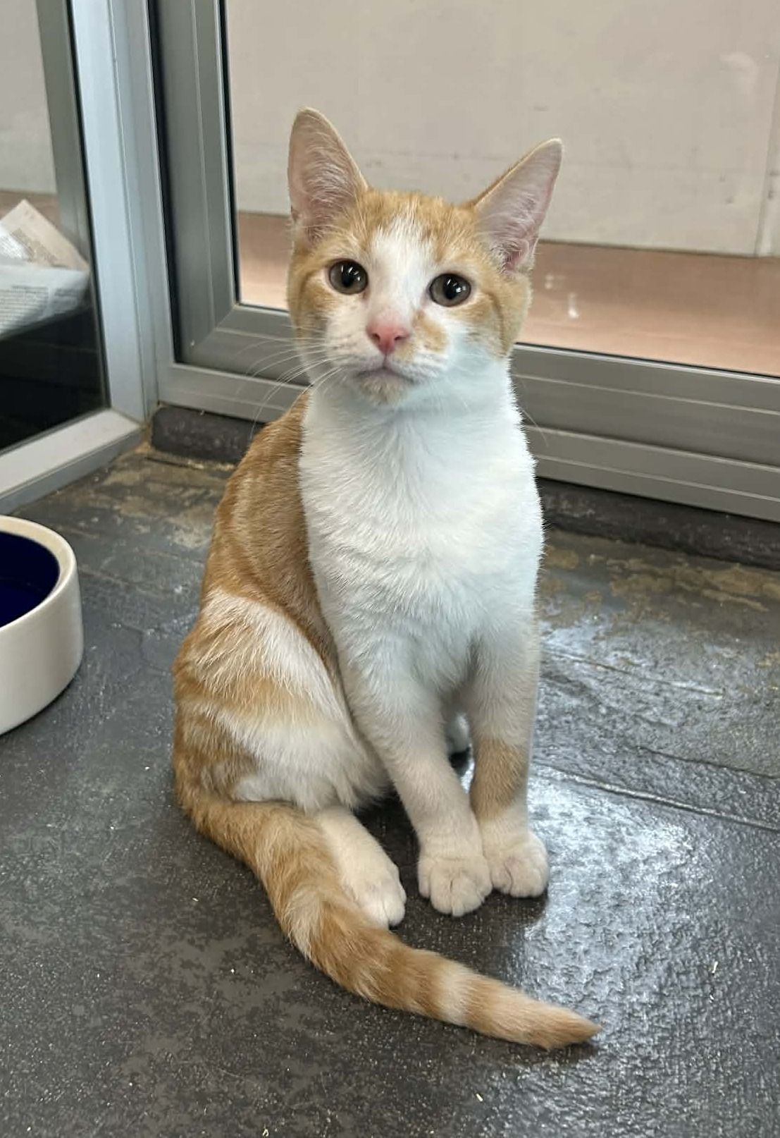 Gallery image: Zenny