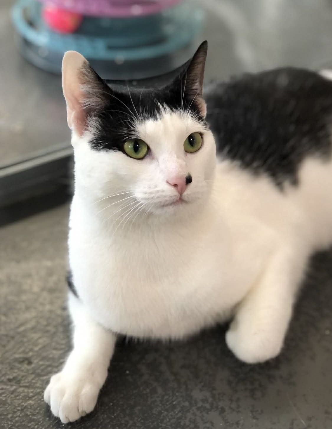 Gallery image: Frank