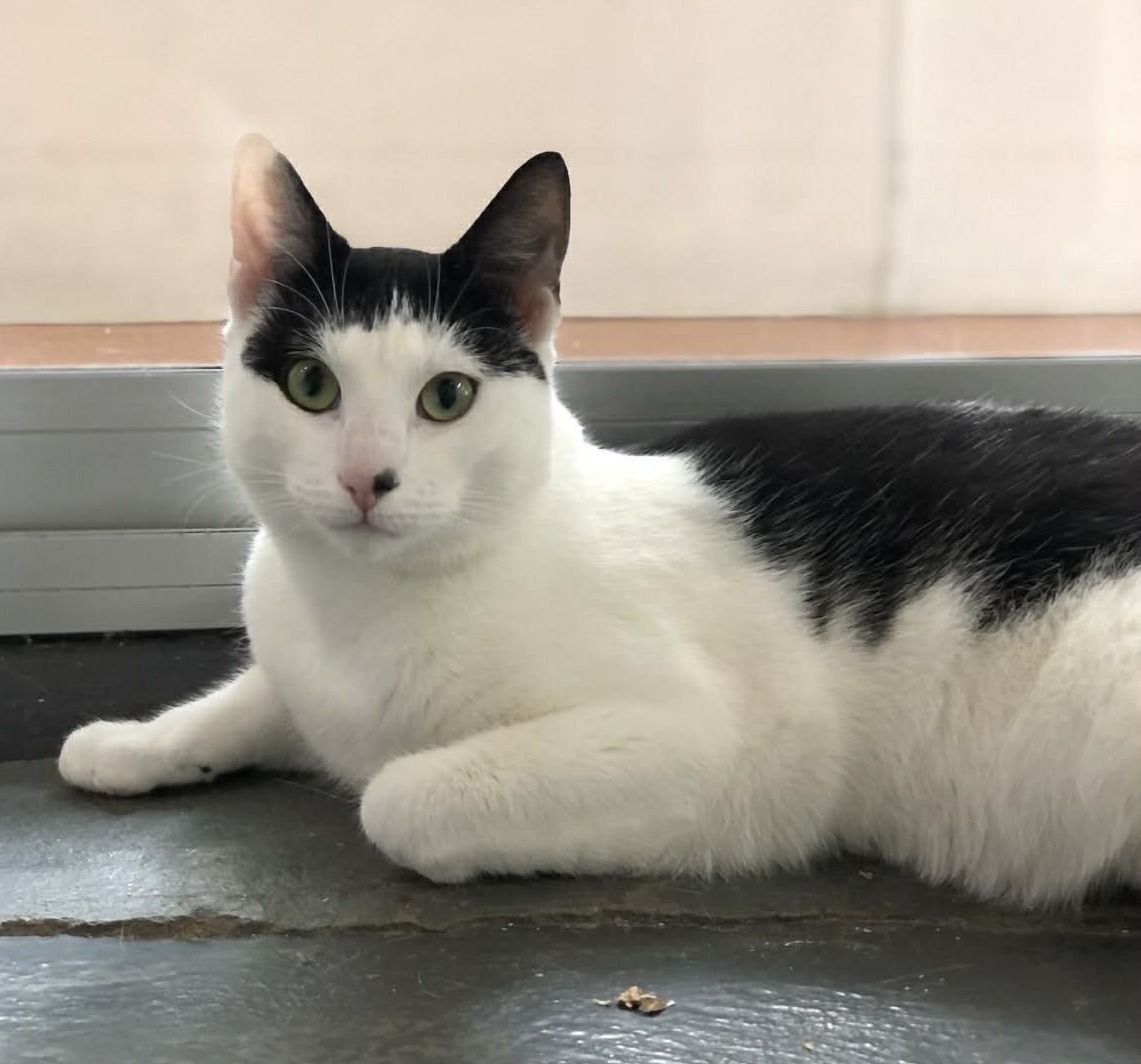 Gallery image: Frank