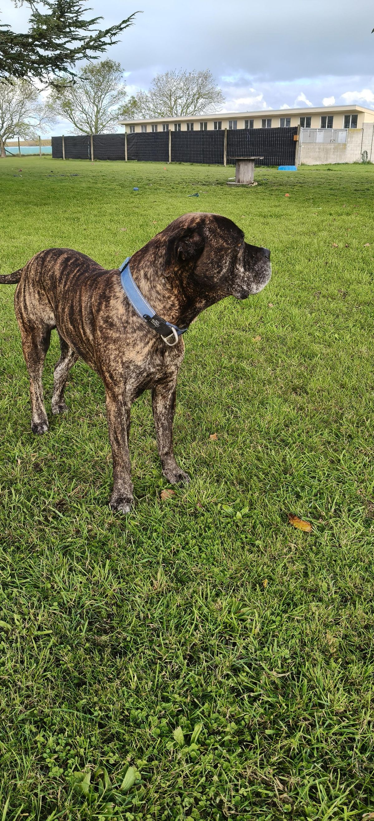 Gallery image: Jaxson