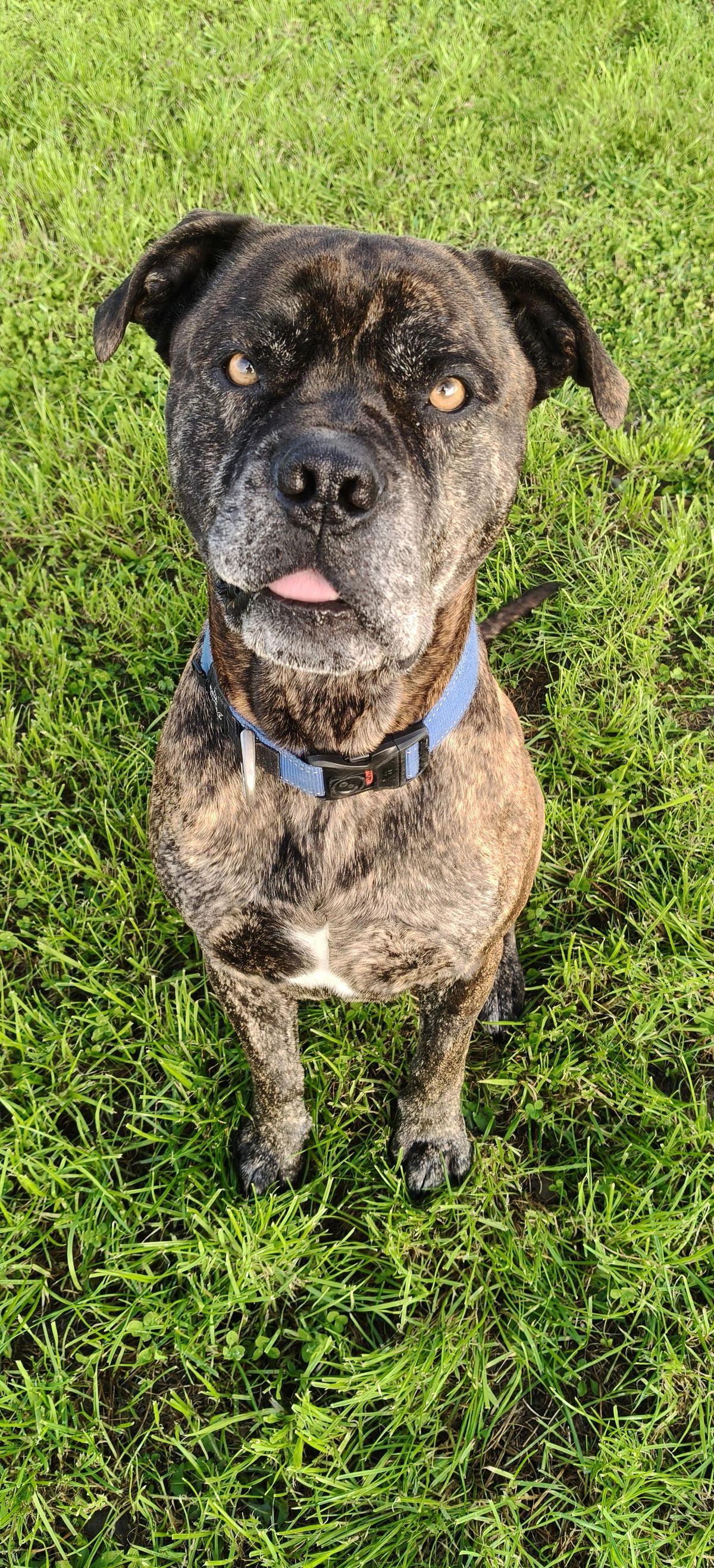 Gallery image: Jaxson