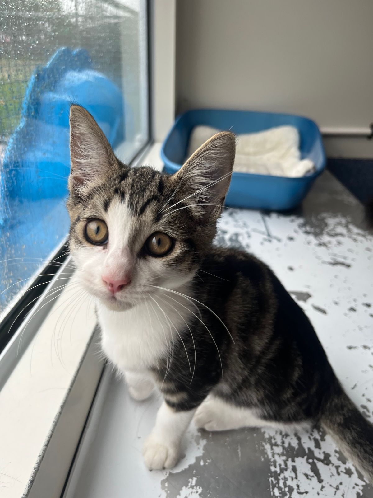 Gallery image: Boots 