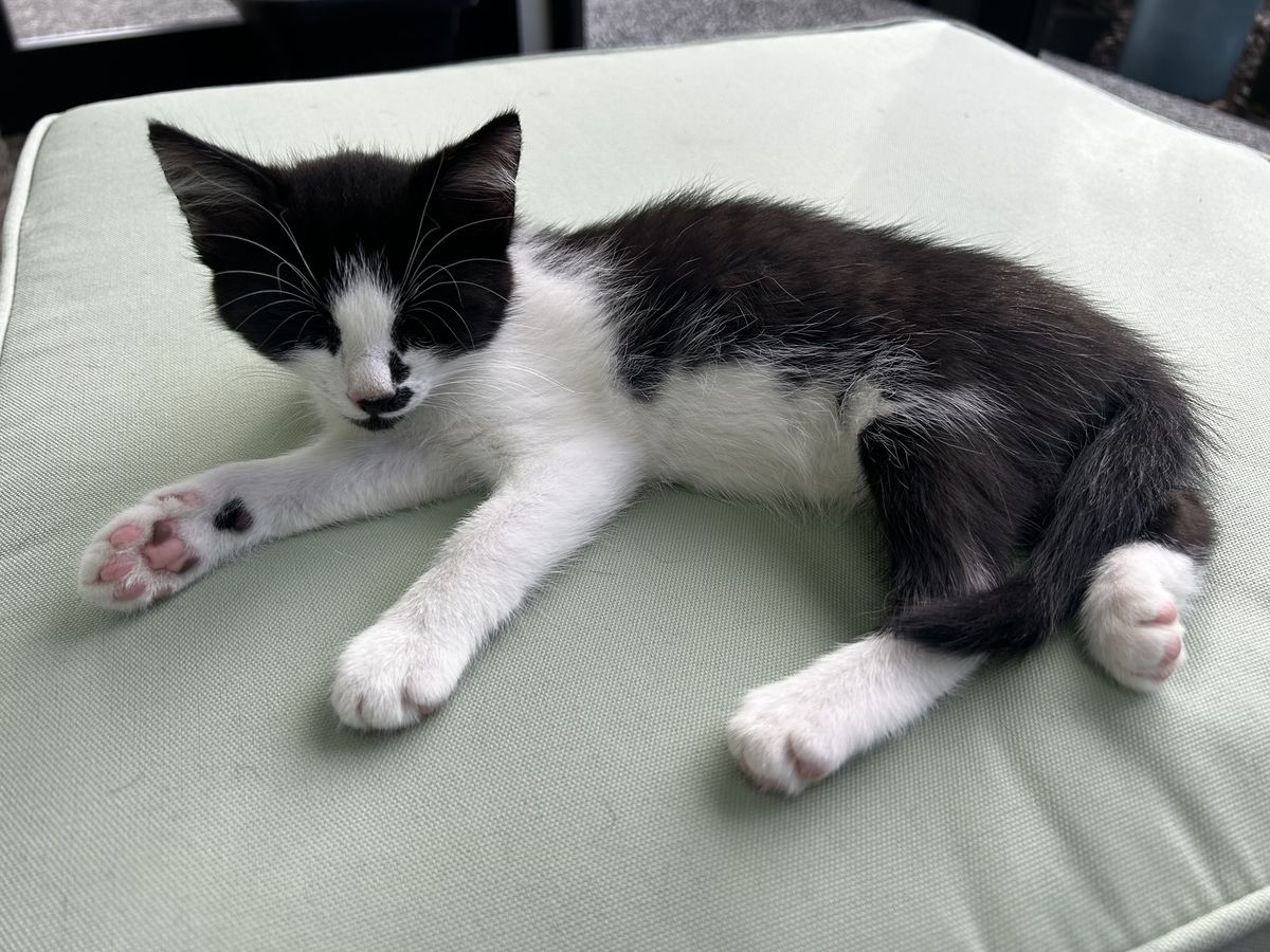 Gallery image: Libby 