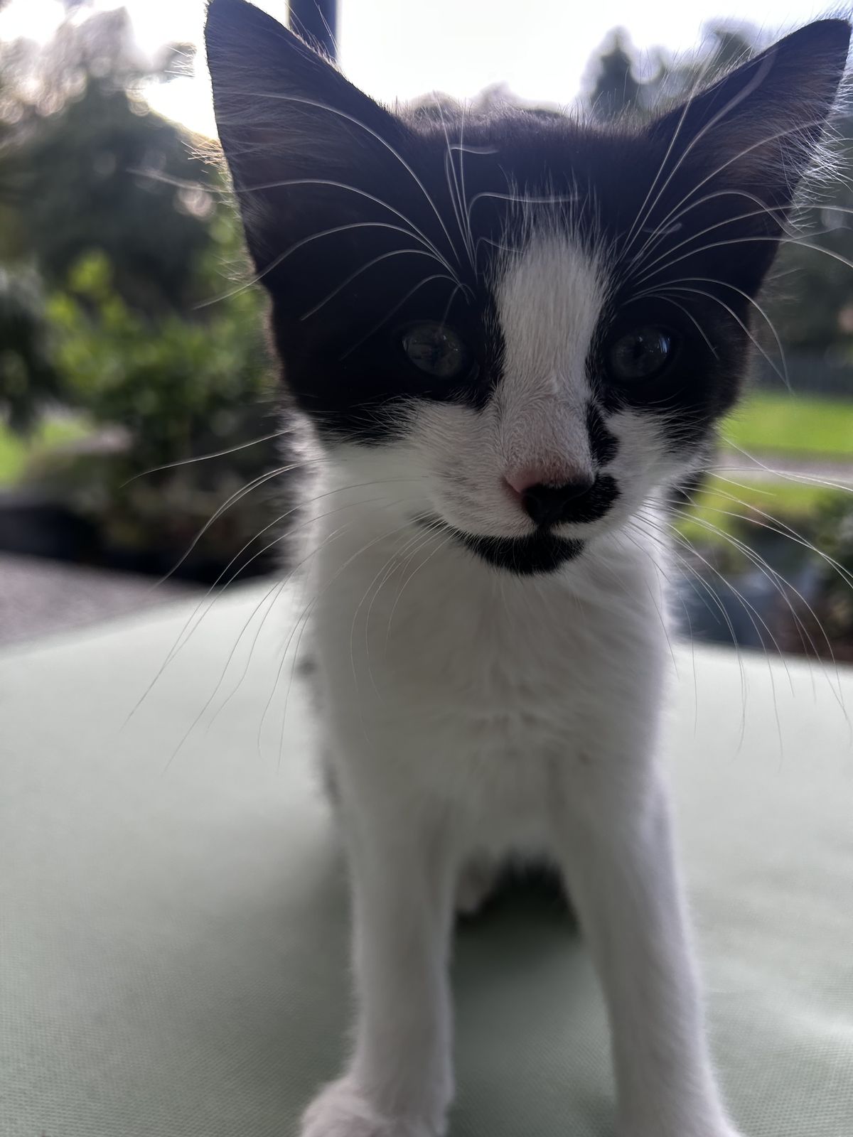 Gallery image: Libby 