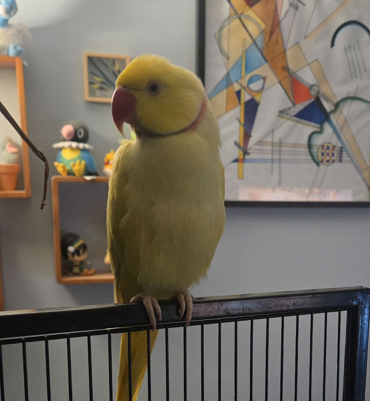 Gallery image: Pecorino