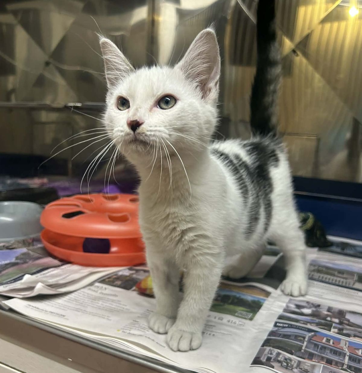 Gallery image: Sergio