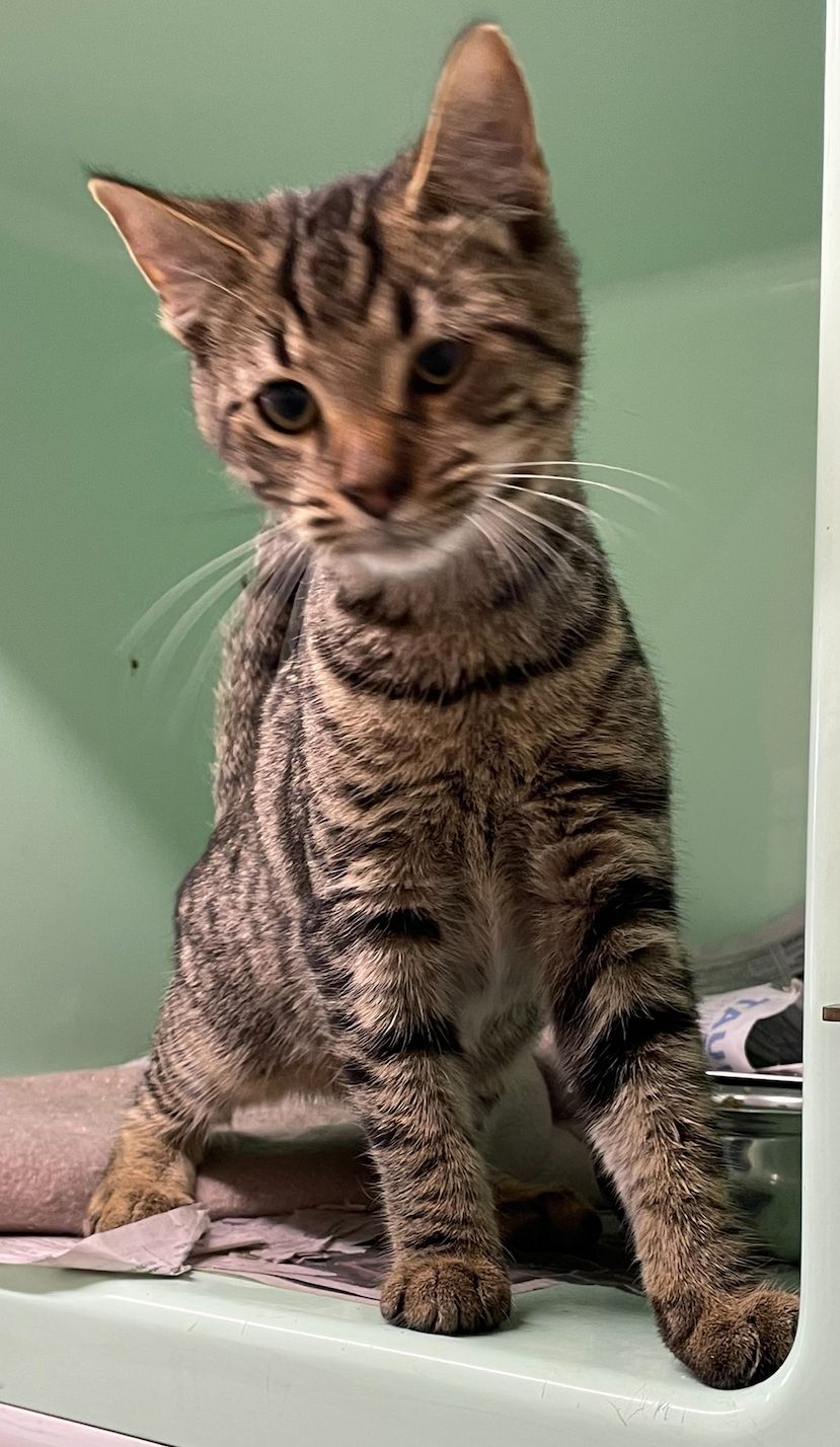 Gallery image: Carlsberg