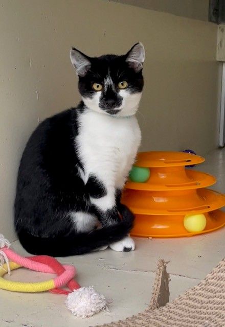 Gallery image: Dewey