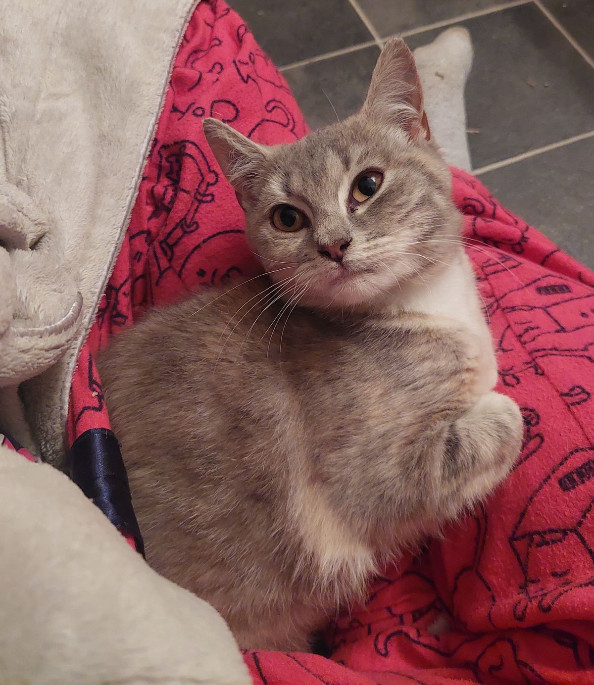 Gallery image: Jazmyn