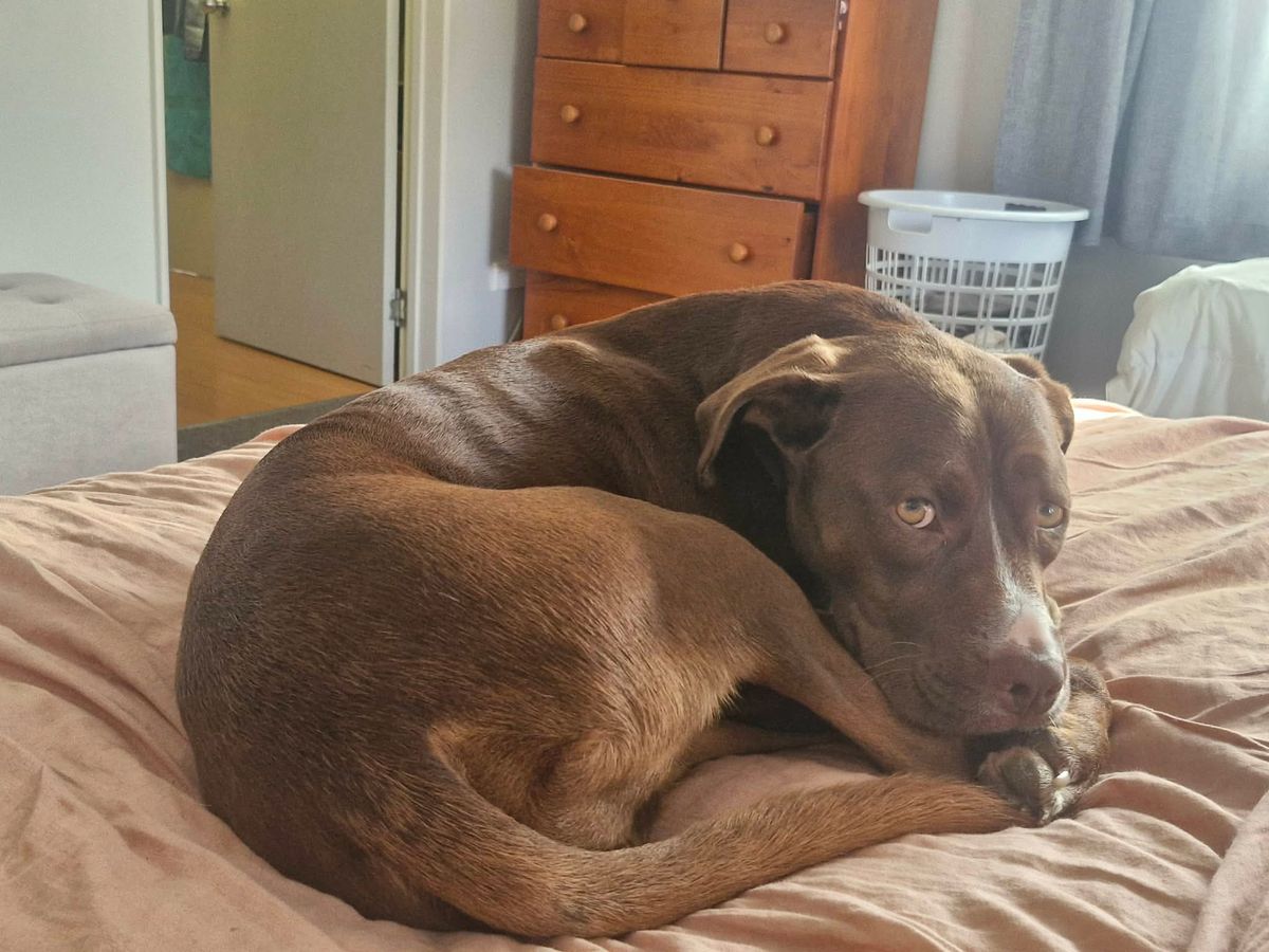 Gallery image: Titan