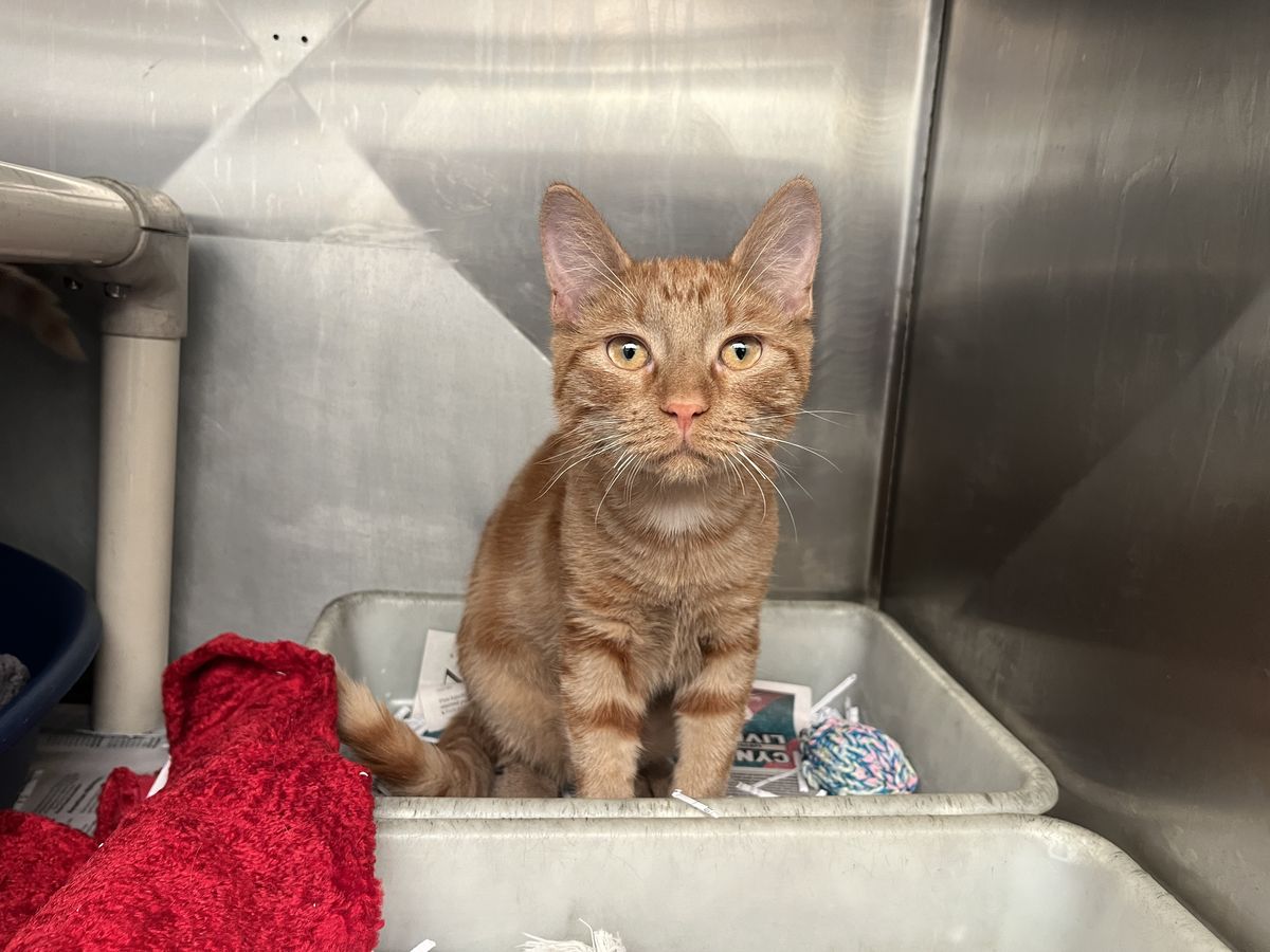 Gallery image: Timothee