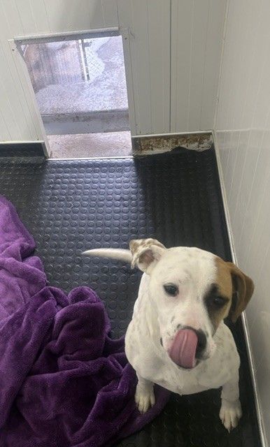 Gallery image: Crumpet