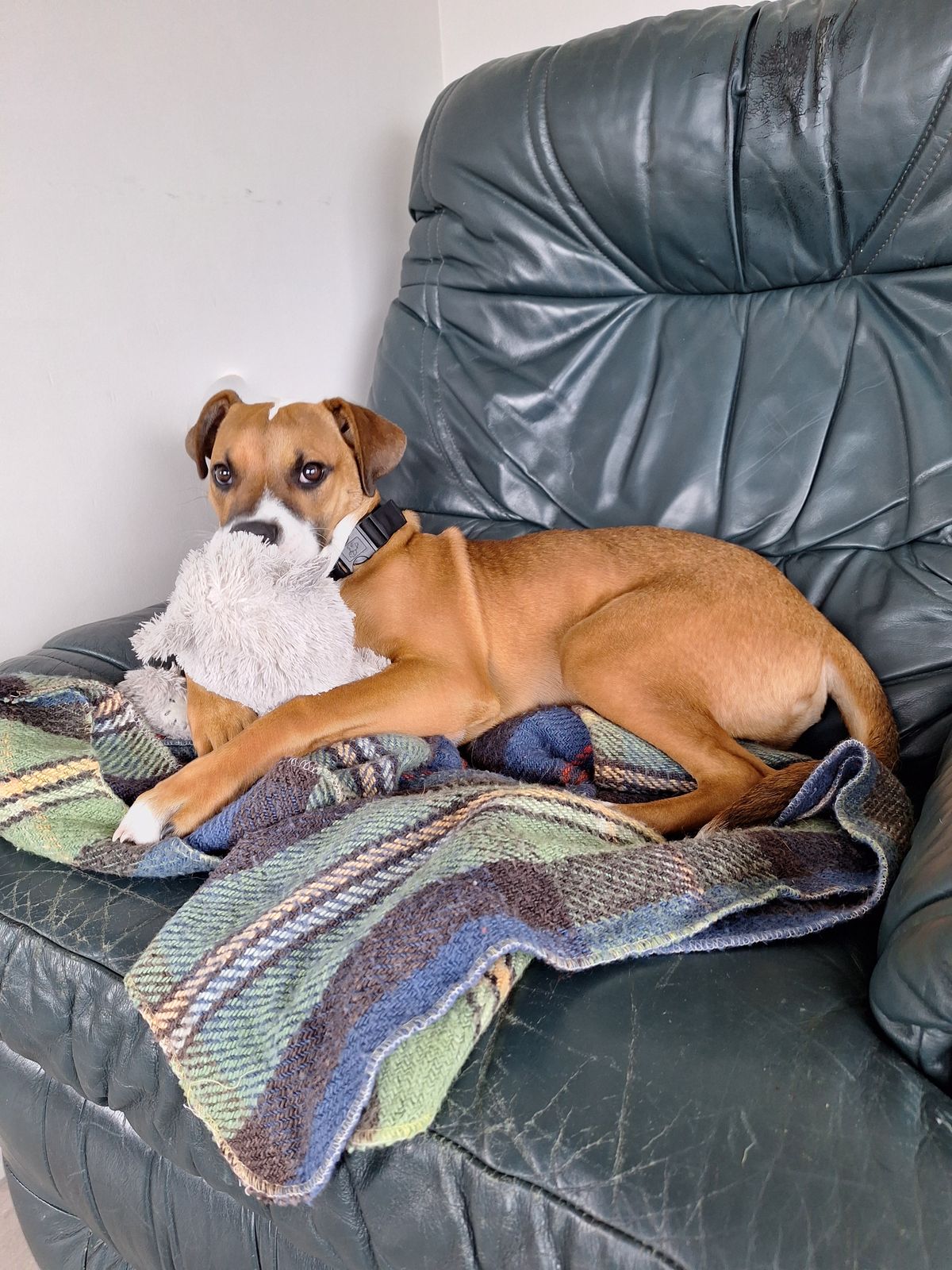 Gallery image: Hubble