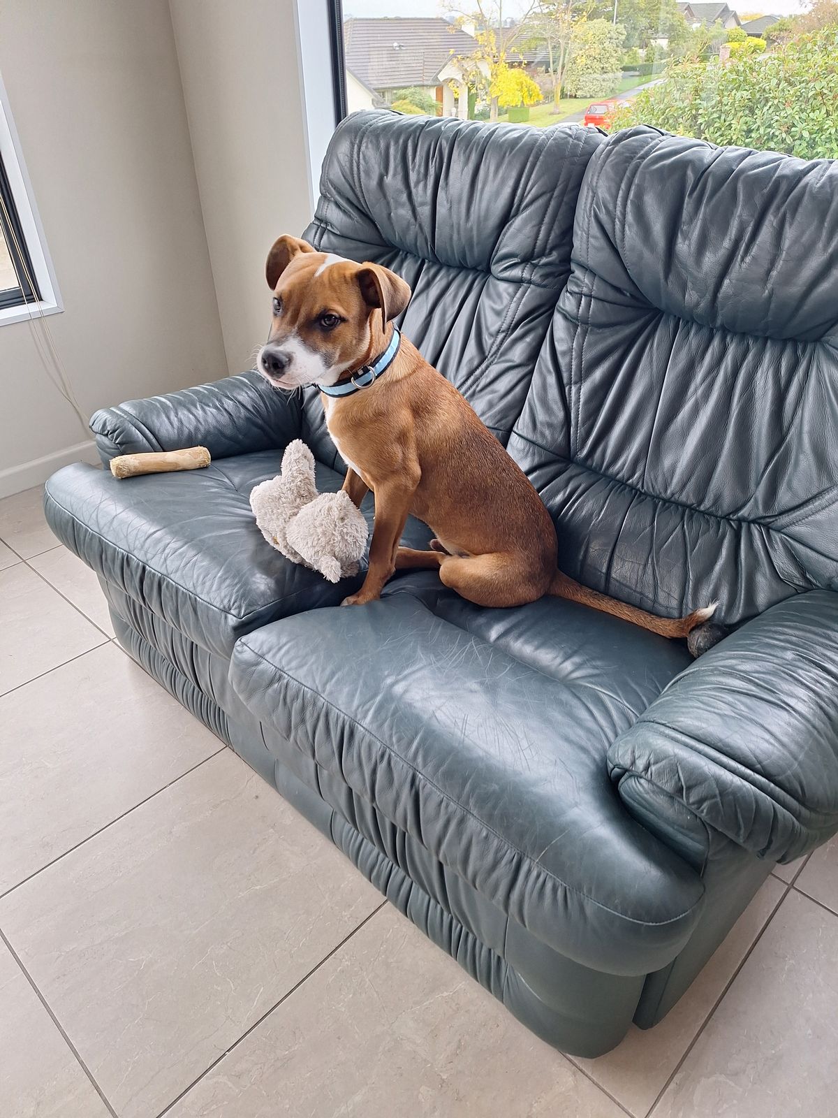 Gallery image: Hubble