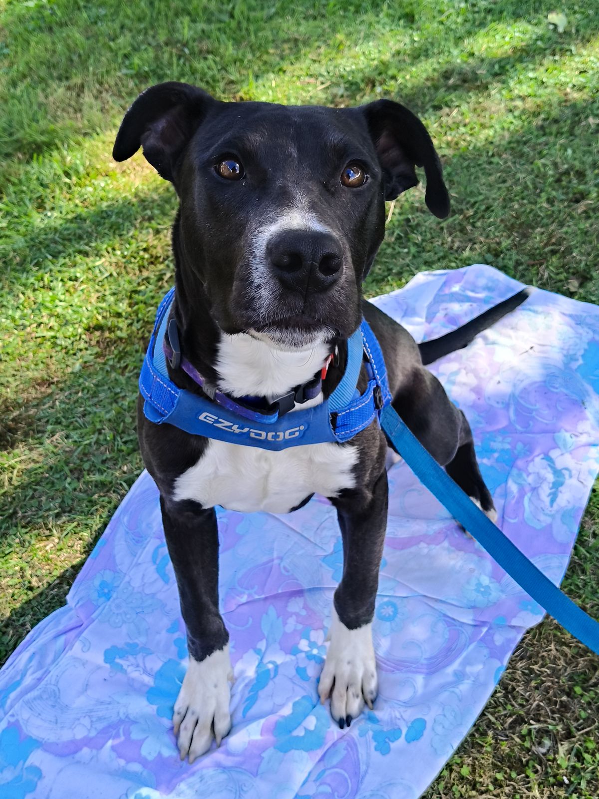 Gallery image: Quincy 