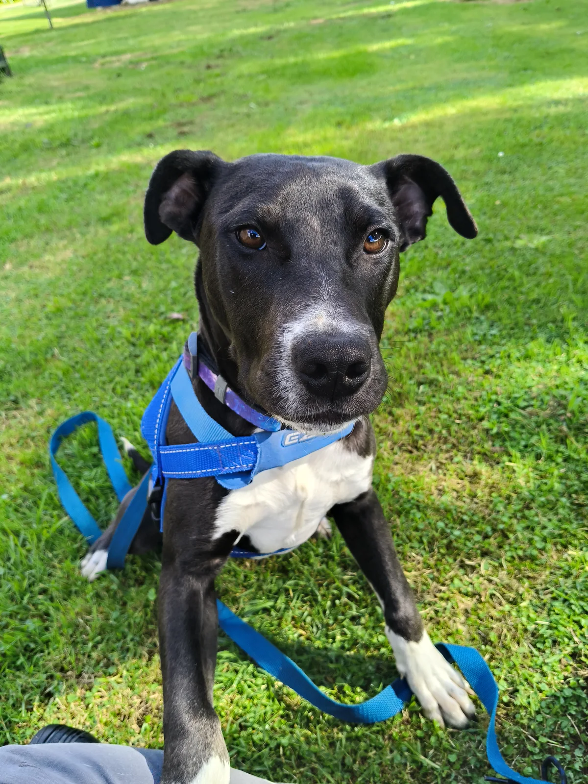 Gallery image: Quincy 