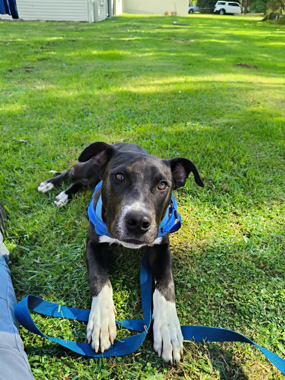 Gallery image: Quincy 