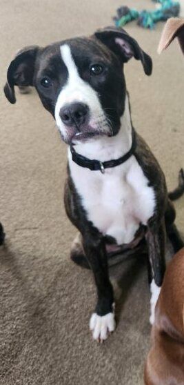 Gallery image: Mellow