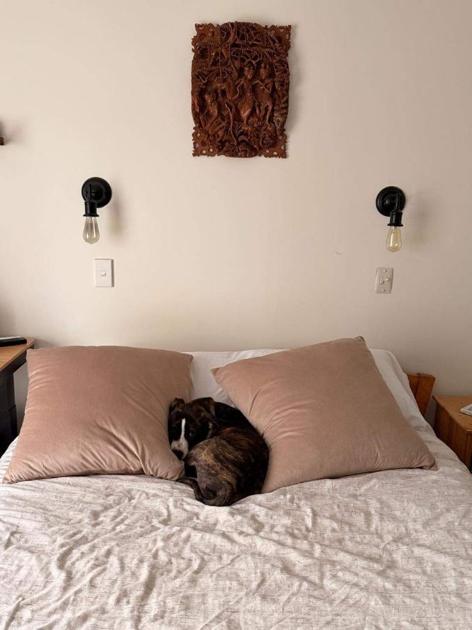 Gallery image: Mellow