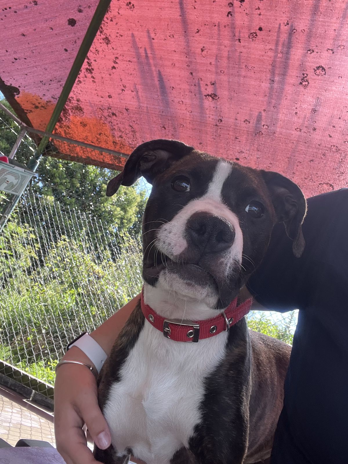 Gallery image: Mellow