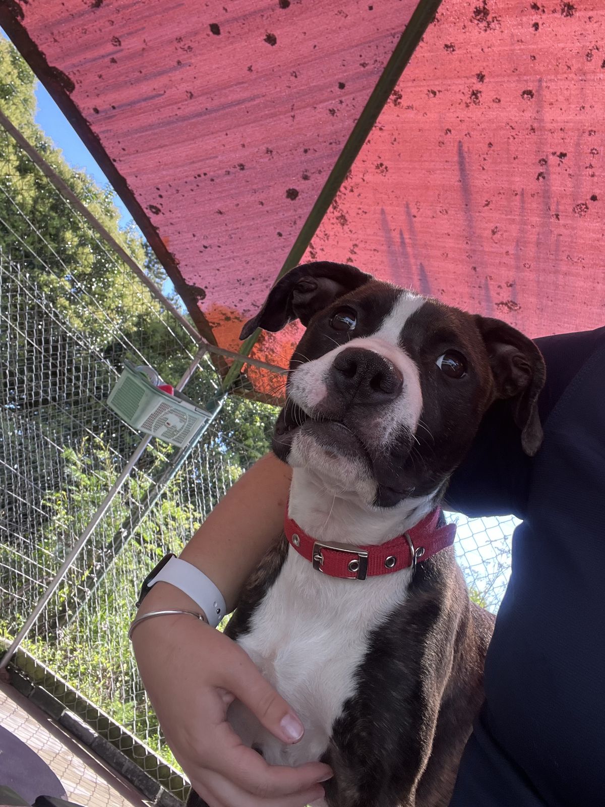 Gallery image: Mellow