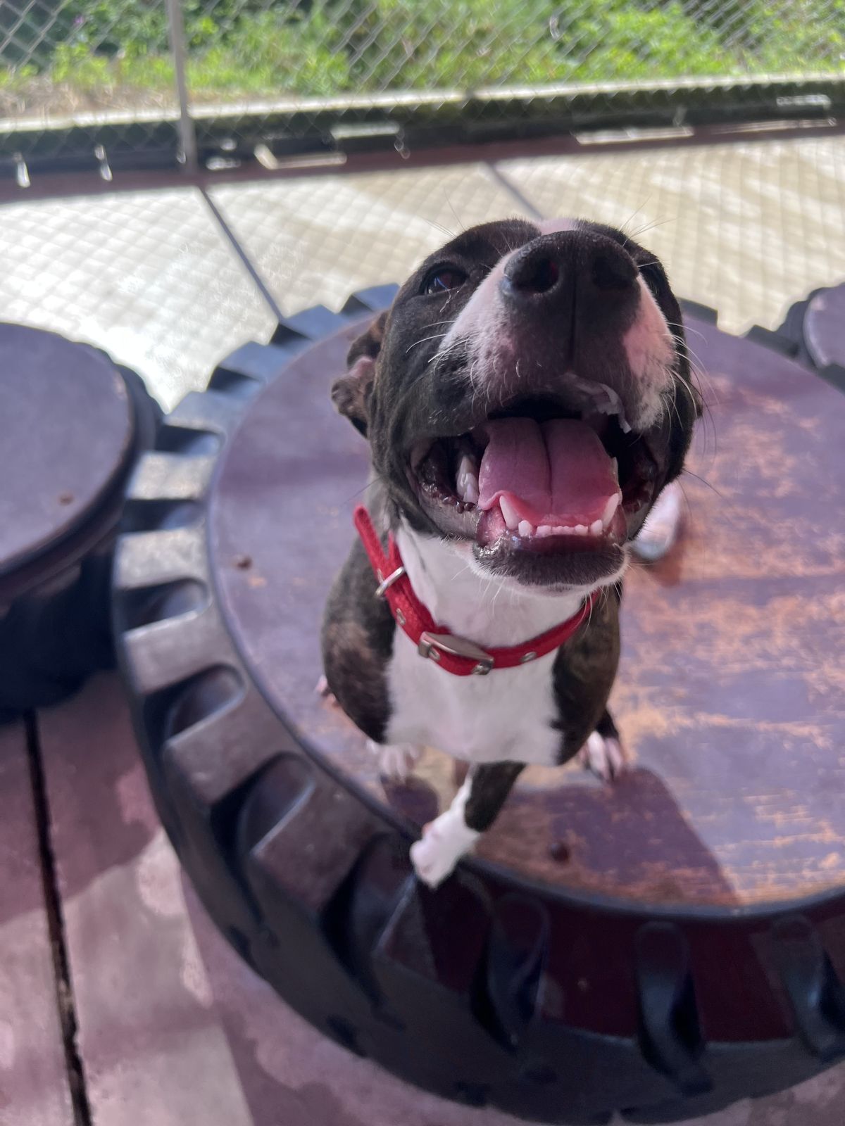 Gallery image: Mellow