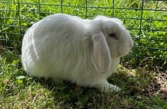 Gallery image: Squiz