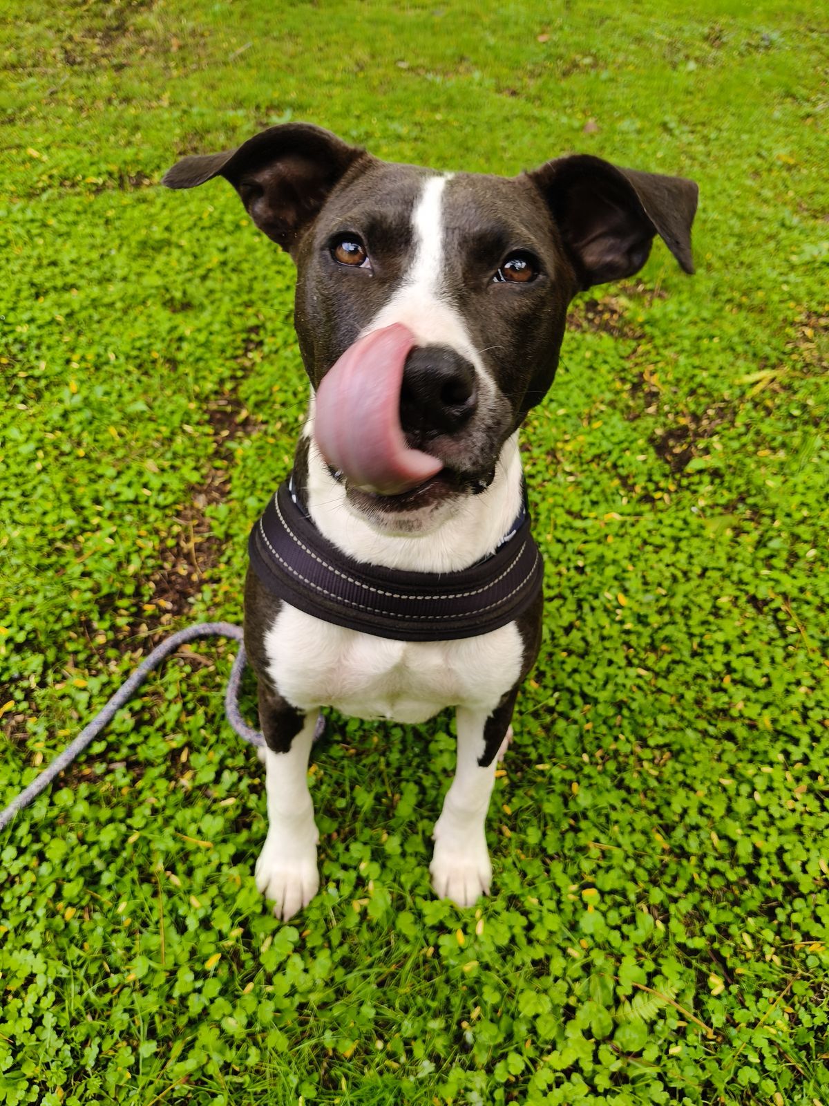 Gallery image: Quinn 