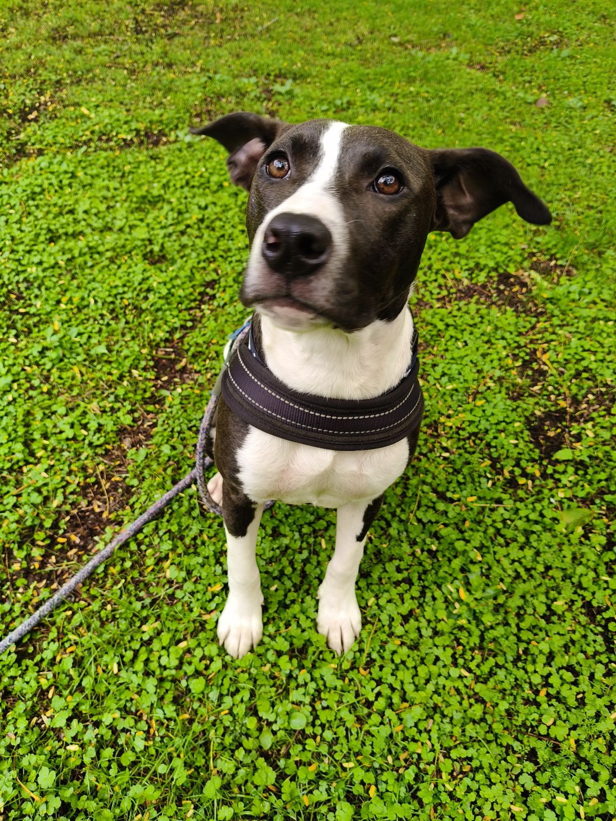 Gallery image: Quinn 