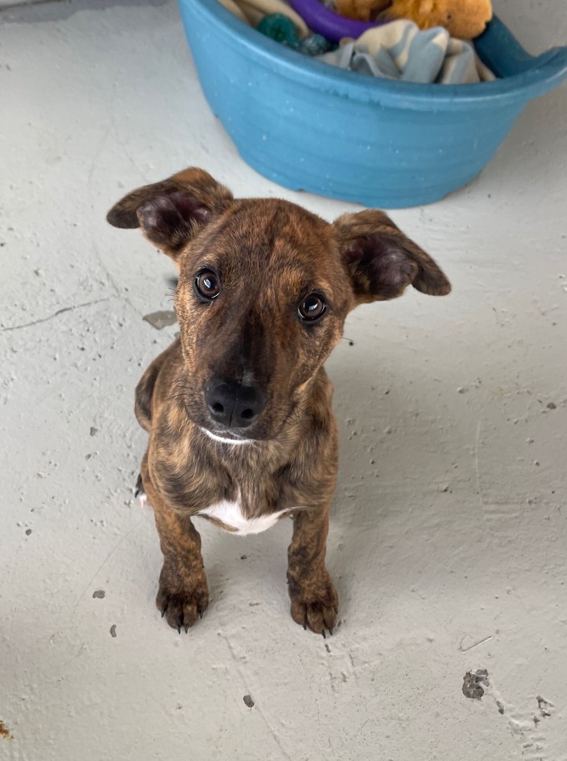 Gallery image: Brian