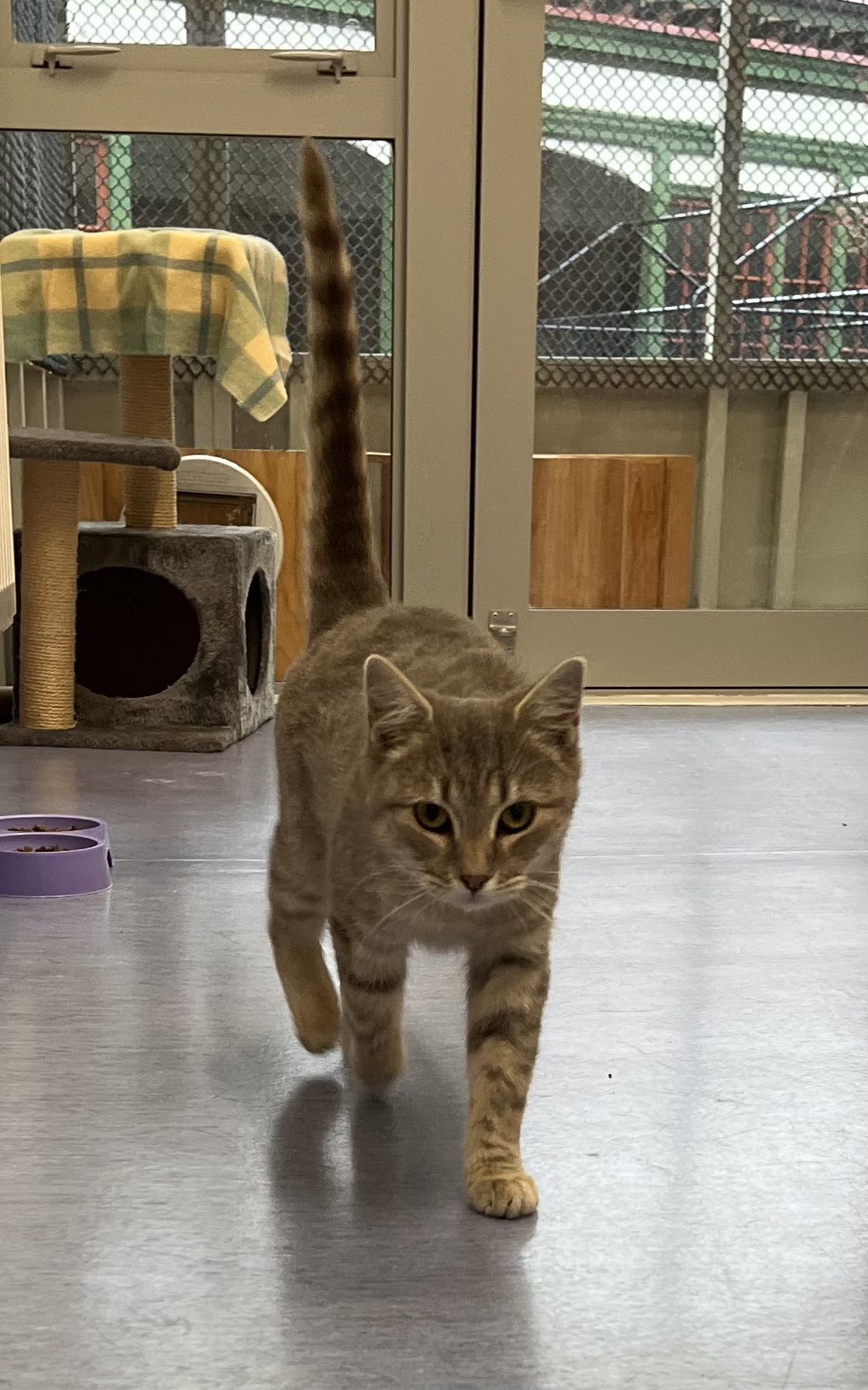 Gallery image: Athena