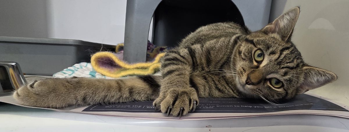 Gallery image: Grumpy Gary