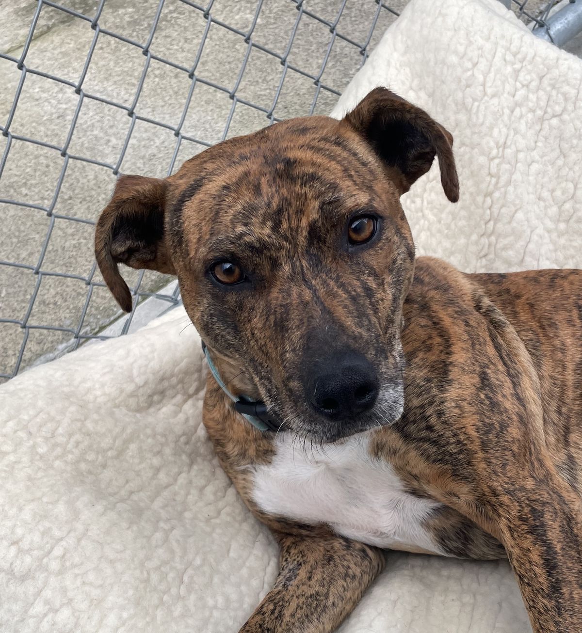 Gallery image: Liberty