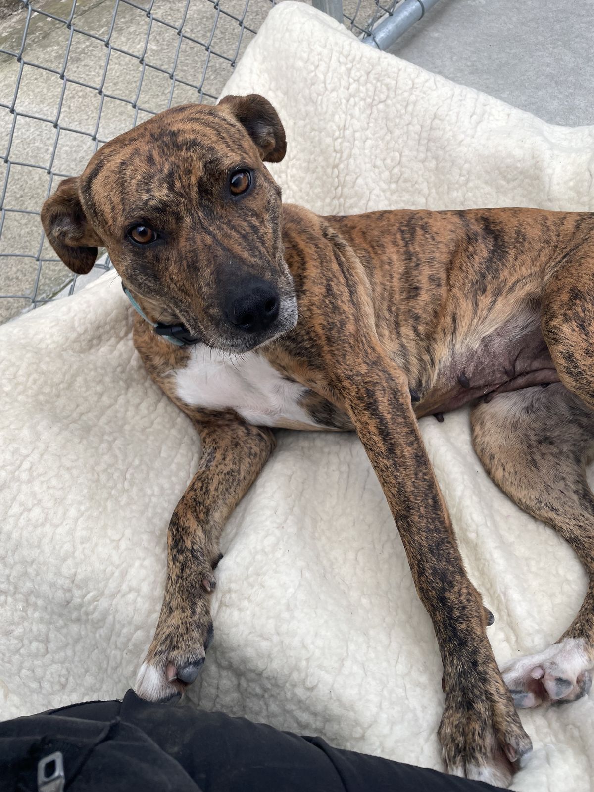 Gallery image: Liberty