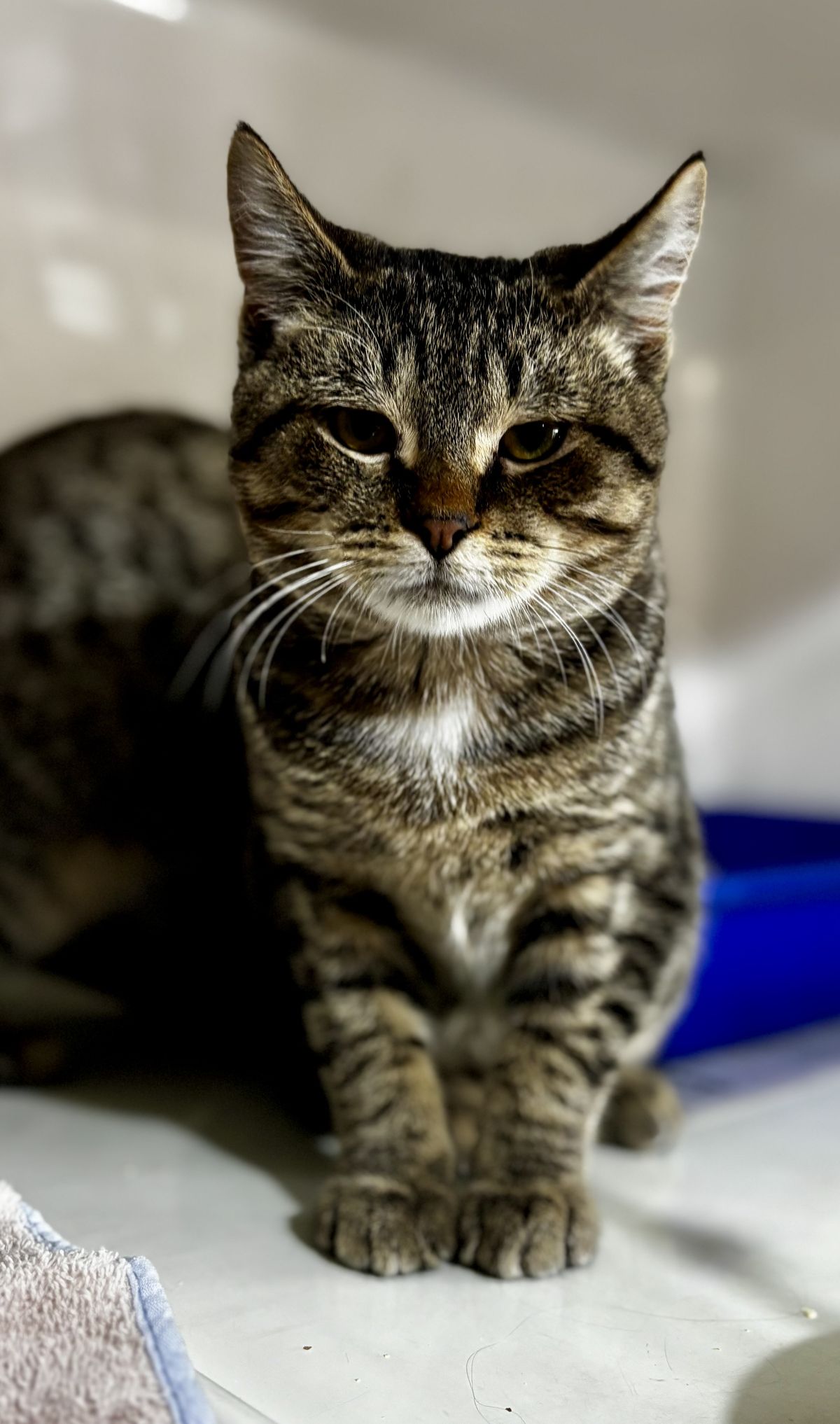 Gallery image: Orlando