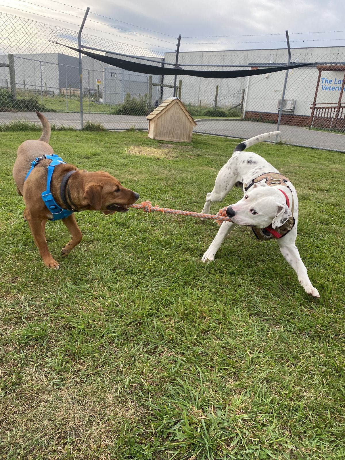 Gallery image: Albie